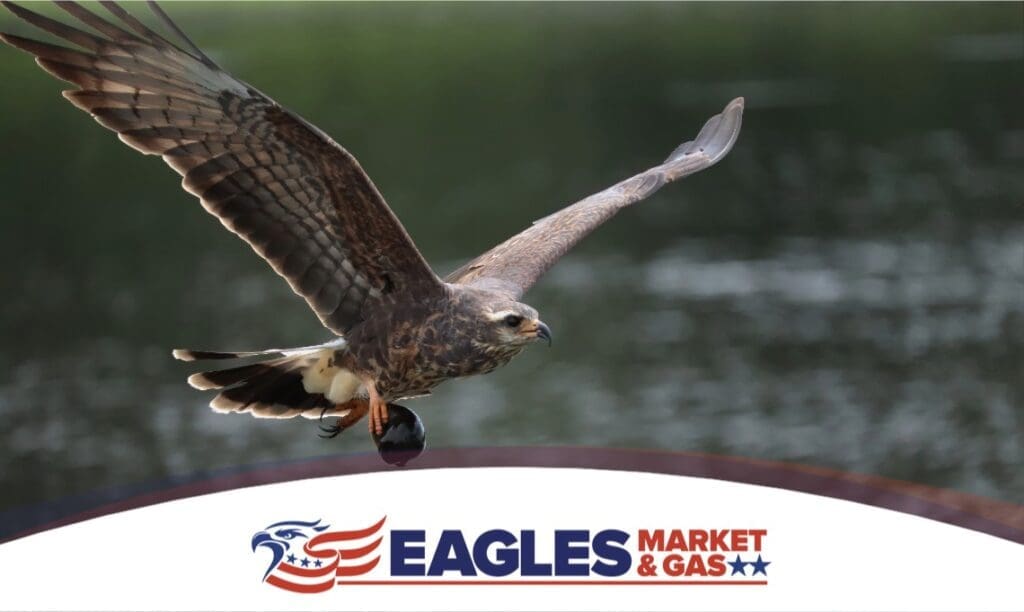 Denman Wildlife Area