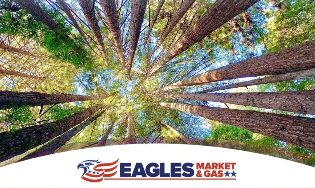 Southern Oregon adventure